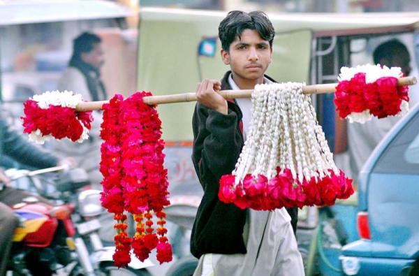 Pakistan garland-seller