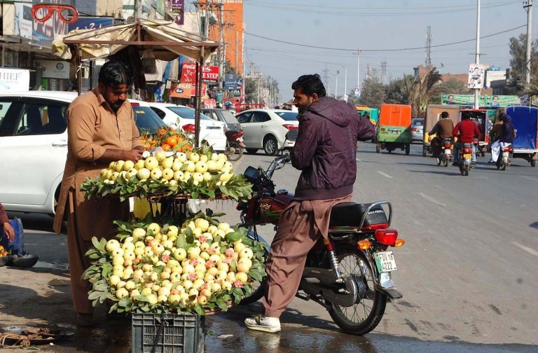 guava-in-pakistan