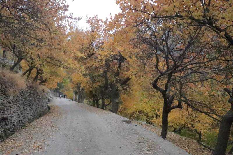 Autumn in Gilgit Baltistan 2019