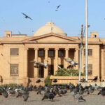 sindh-high-court-birds